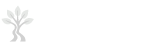 Camino