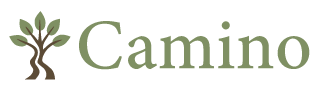 Camino