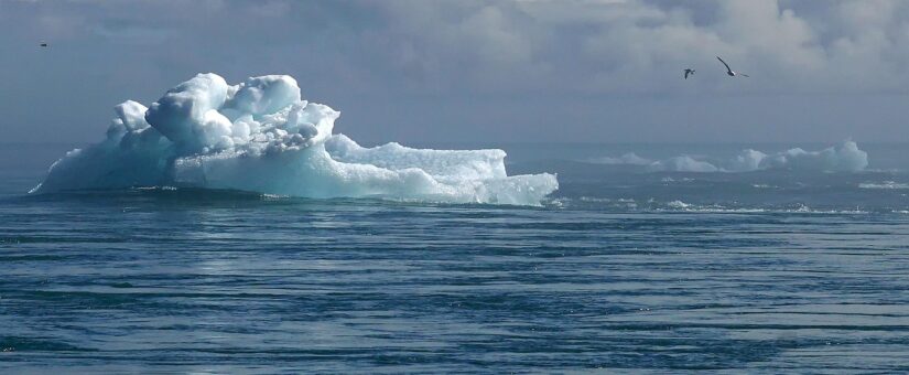 COP 30 ainda é assunto de ‘panelinha’